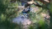 Der Betrachter schaut durch dichtes Zweigwerk, man erkennt einen Schützenpanzer auf offenem Gelände.