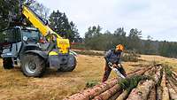 Ein Förster in Schutzkleidung und mit Motorsäge bearbeitet einen gefällten Holzstamm.