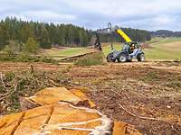 eine gerodete Fläche, auf der ein gelber Teleskoplader mehrere Baumstämme schleppt
