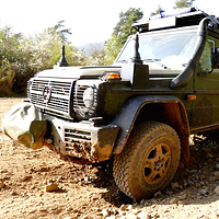 Ein grünes Fahrzeug steht auf einer unbefestigten Straße im Wald. 