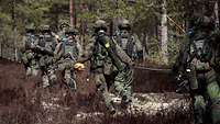 Eine Gruppe Soldaten trägt ein langes Rohr durch den Wald.