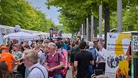 Besucher beim ersten Nationalen Veteranentag Eine Straße mit Besuchern des ersten Nationalen Veteranentag