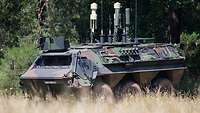 Ein Transportpanzer vor einem Waldstück