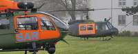 Zwei Hubschrauber stehen leicht versetzt hintereinander auf einer Wiese.