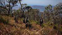 Zwei deutsche Soldaten mit Gewehren kämpfen in grünem, australischen Buschland.