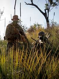Übung Talisman Sabre 2025 Zwei deutsche Soldaten mit Gewehren kämpfen in grünem, australischen Buschland.