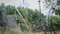 Ein Antennenmast gesichert mir Draht steht vor einem Waldrand.