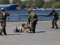 Mehrere Soldaten, einer davon mit Diensthund, halten einen Eindringling fest, um ihn an die Polizei zu übergeben