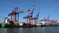 Drei Containerschiffe liegen im Hafen an einer Pier unter Kränen.