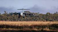 Übung Talisman Sabre 2025 Ein Transportflugzeug vom Typ A400M fliegt tief über ein Feld, auf dem ein Kanguru zu sehen ist