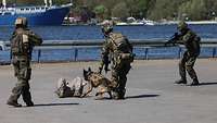 Several soldiers, one with a police dog, detain an intruder to hand him over to the police