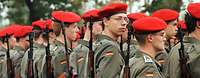 Mehrere Soldaten stehen mit Gewehren zum Appell angetreten in Reihen nebeneinander