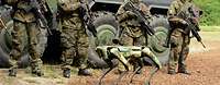  Four armed soldiers stand in front of a tank. A robot dog stands before them.