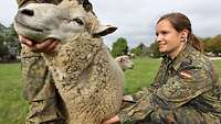 A woman is examining a sheep. Another person is holding the animal's head.