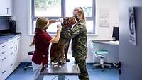 A dog wearing a muzzle is standing on an examination table receiving an injection. A female soldier is holding him down.