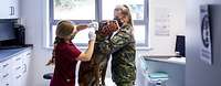 A dog wearing a muzzle is standing on an examination table receiving an injection. A female soldier is holding him down.