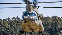Hingucker: Die CH-47 Ein Hubschrauber mit Tandemrotoren fliegt auf den Betrachter zu.