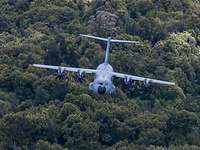 Ein Transportflugzeug fliegt über Wald.