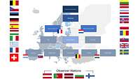 Structure of the Multinational Medical Coordination Centre-Europe