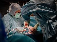 Zwei Menschen in OP-Kleidung sind über einen OP-Tisch gebeugt. Sie halten Klemmen und operieren.