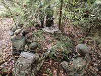 Mehrere Soldaten knien an einem Versteckbau im Wald.