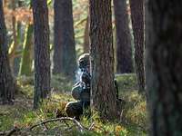 Ein Soldat kniet im Wald an einem Baum und schießt in Fotografenrichtung.