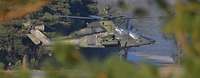 Blick durch Sträucher auf einen Kampfhubschrauber Tiger, der gerade vom Boden abhebt.