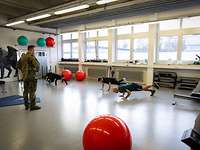Soldatinnen und Soldaten trainieren in einem Fitnessraum in Zivilbekleidung.