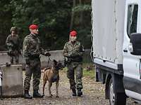 Two military personnel and a dog check vehicles