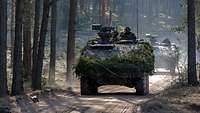 Soldaten fahren mit zwei GTK Boxern durch einen Wald