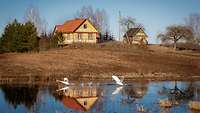 Zwei historische Landhäuser stehen in Ufernähe, im Vordergrund zwei Schwäne auf einem Gewässer 