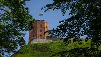 Ein Turm auf einem Hügel mit der litauischen Flagge