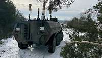 Ein Transportpanzer Fuchs steht in einem bewaldeten Gelände