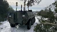 Ein Transportpanzer Fuchs steht in einem bewaldeten Gelände