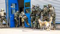 Bewaffnete Soldaten mit Schutzwesten, Helmen und einem Hund betreten ein Gebäude mit blauer Tür.