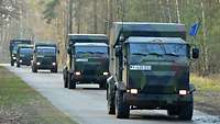 Mehrere militärische Fahrzeuge fahren in einer Kolonne über eine Straße in einem bewaldeten Gebiet.
