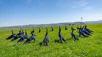 Etwa 20 Soldatinnen und Soldaten im Kreis vollführen auf einer Wiese eine Seitstütze.