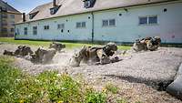 Fünf Soldaten robben über eine unebene, sandige Fläche.