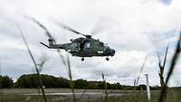 Ein Hubschrauber NH-90 schwebt wenige Meter über der Wiese.