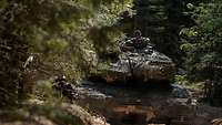 Ein Soldat kniet neben einem Kampfpanzer Leopard auf einem sandigen Waldweg bei Sonne.