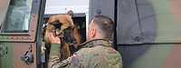 Ein Soldat hebt einen Hund aus einem militärischen Fahrzeug