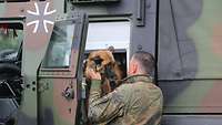 Ein Soldat hebt einen Hund aus einem militärischen Fahrzeug