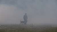 Ein Soldat mit Hund im Nebel auf einer Wiese
