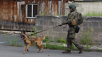 Ein Soldat führ einen Hund an der Leine über eine Straße