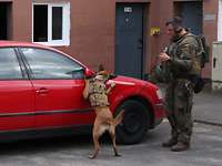Ein Soldat und ein Hund stehen neben einem roten Pkw. Der Hund steht auf den Hinterbeinen.