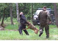 Ein Soldat und ein Hund in einem Wald. Der Hund fasst einen Mann. Im Hintergrund ein Militärfahrzeug