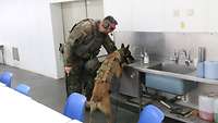 Ein Soldat leitet einen Hund an eine Küche abzusuchen