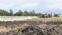 Mehrere weiße Betonpanzersperren stehen in Reihen auf einem Feld