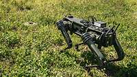 Ein grüner Roboterhund steht auf einer Wiese vor einer kleinen Übungsmine im Boden