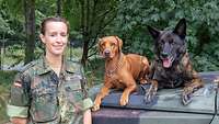 Eine Soldatin mit zwei Diensthunden, die auf der Motorhaube eines Bundeswehrfahrzeuges liegen.